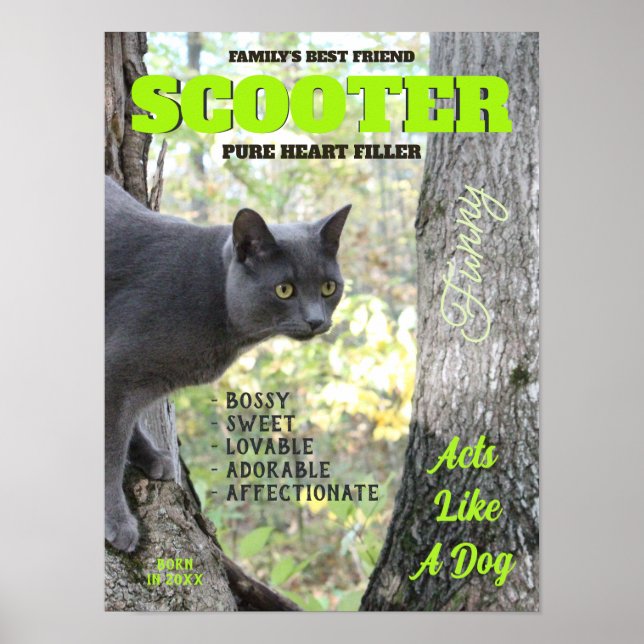 Gör din magasin i Kattunge Poster (Framsidan)