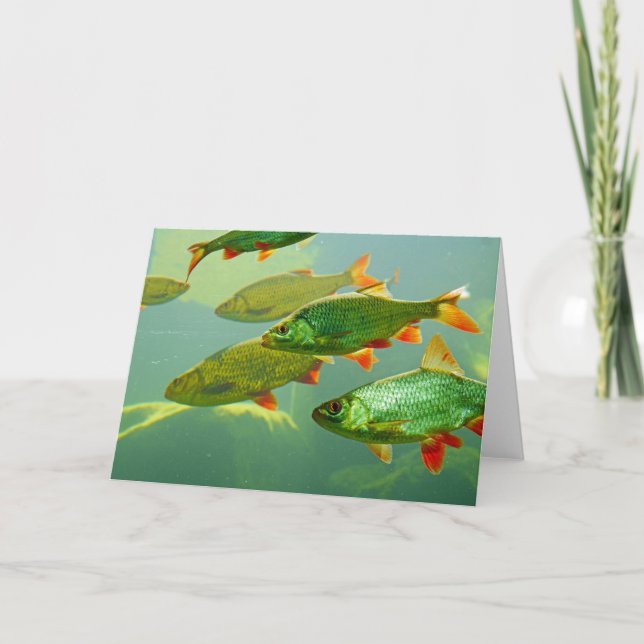 Gör ditt eget fotokort kort (Framsida)