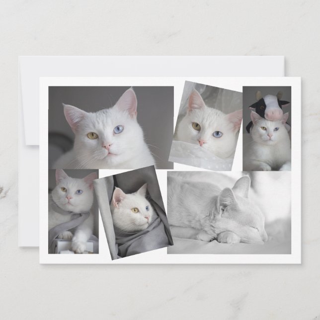 Gör ditt eget Personlig för fotokollage Inbjudningar (Framsida)