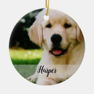 Gör ditt eget sällskapsdjur till prydnadsföremål julgransprydnad keramik