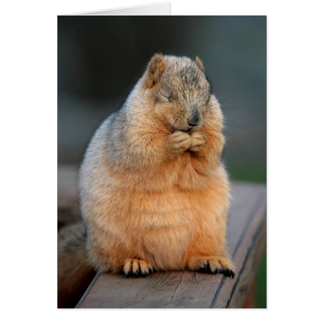 Gör en önskan hälsningskort (Framsidan)