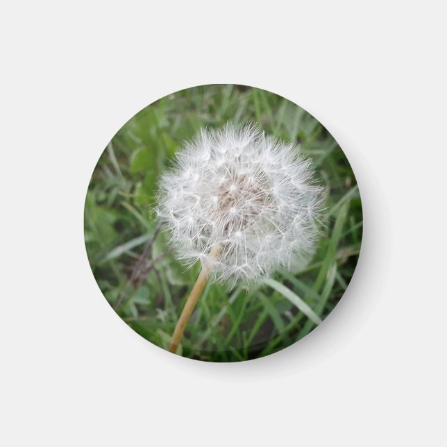 Gör en önskan magnet (Framsidan)