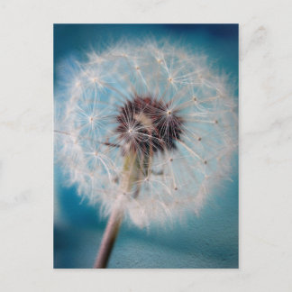 Gör en önskan vykort