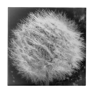 Gör en önskesida kakelplatta