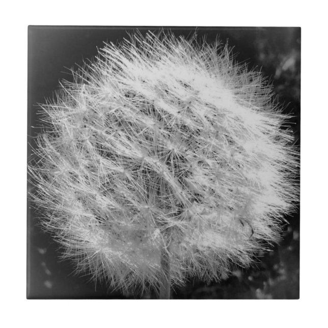 Gör en önskesida kakelplatta (Framsidan)