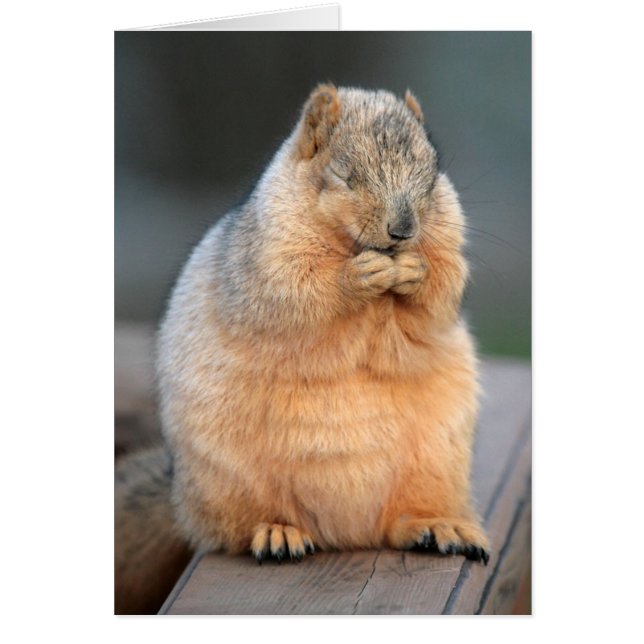 Gör en Wish Hälsningskort (Framsidan)