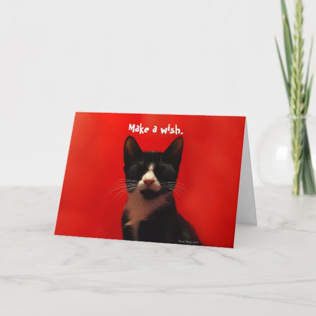 Gör en Wish^_^ Kort (Framsida)