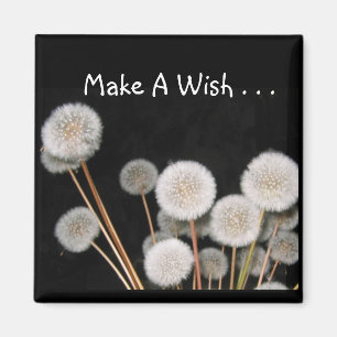 Gör en Wish Magnet
