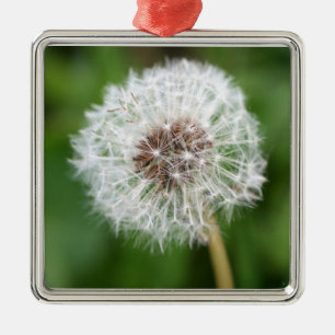 Gör en Wish! Maskrosen kvadrerar prydnaden Julgransprydnad Metall