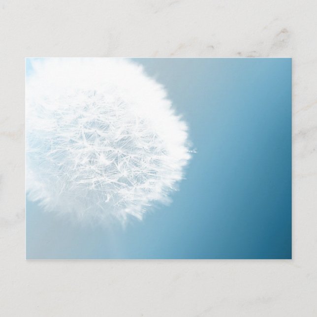 Gör ett vykort för önskad dandelion (Framsida)