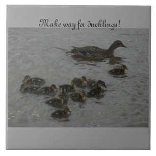 Gör långt för ducklings! kakelplatta