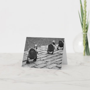 Gör långt för Ducklings Kort