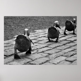 Gör långt för Ducklings Poster