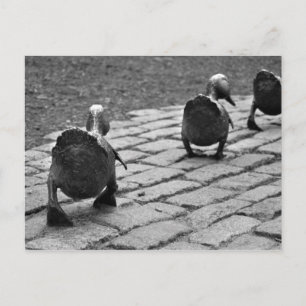 Gör långt för Ducklings Vykort