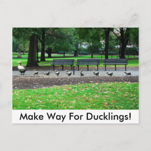 Gör långt för Ducklings! Vykort