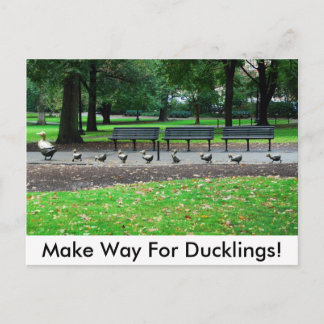 Gör långt för Ducklings! Vykort