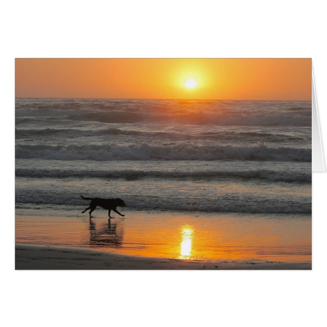 Gör mest av din dag hälsningskort (Framsidan Horizontal)