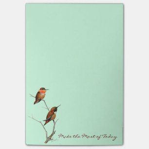 Gör mest av i dag: Rufous Hummingbirdskonst Post-it Block