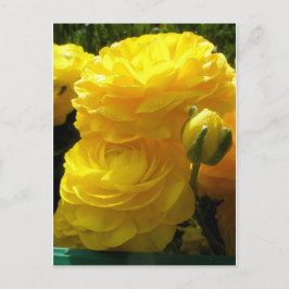 Gör min Gult Vykort