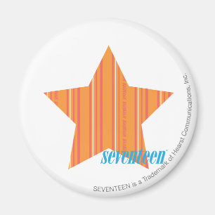 Gör randorange 4 tunnare magnet