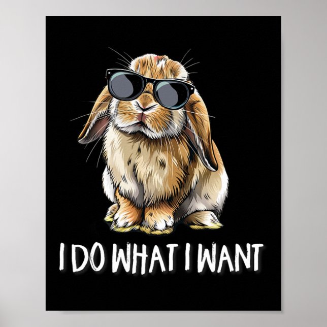 Gör vad jag vill ha Mini Holland Lop Bunny Rabbit  Poster (Framsidan)