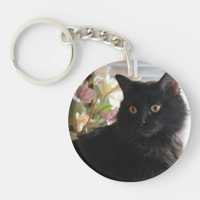 Göra gelé av bönan, den svart licoricekatten, (Framsidan)