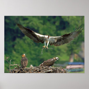Göra klar landningsbanan poster