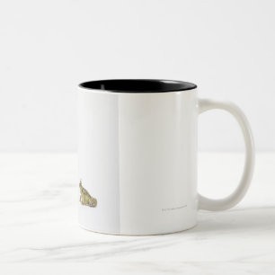 Göra till kung och göra till drottning grodan so Två-Tonad mugg