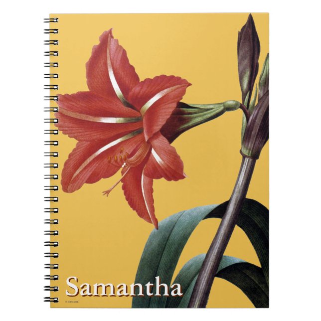 Görad randig Amaryllis Anteckningsbok Med Spiral (Framsidan)