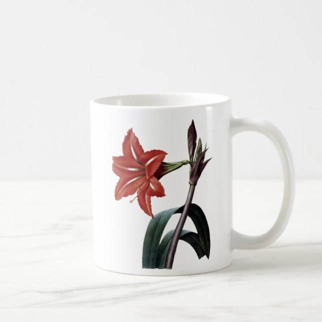 Görad randig Amaryllis Kaffemugg (Höger)