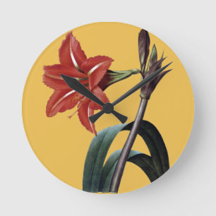 Görad randig Amaryllis Rund Klocka