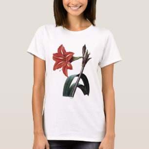 Görad randig Amaryllis T-shirt
