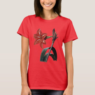 Görad randig Amaryllis Tee Shirt