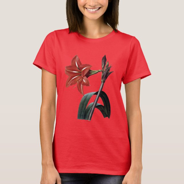 Görad randig Amaryllis Tee Shirt (Framsida)