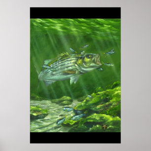 "Görade randig bas på stenarna ", Poster