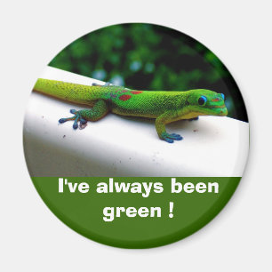"Görar grön tänkan" beskydd Magnet