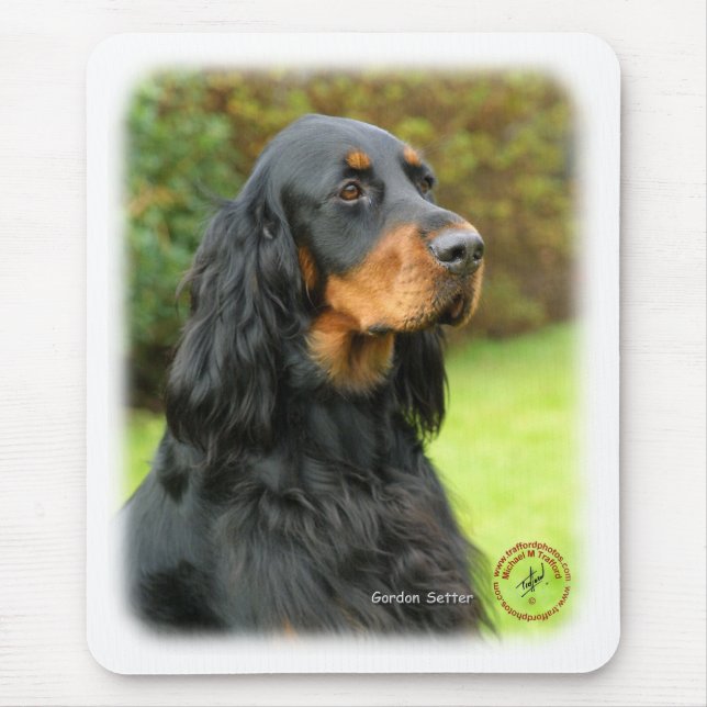 Gordon Setter 9T012D-135 Musmatta (Framsidan)