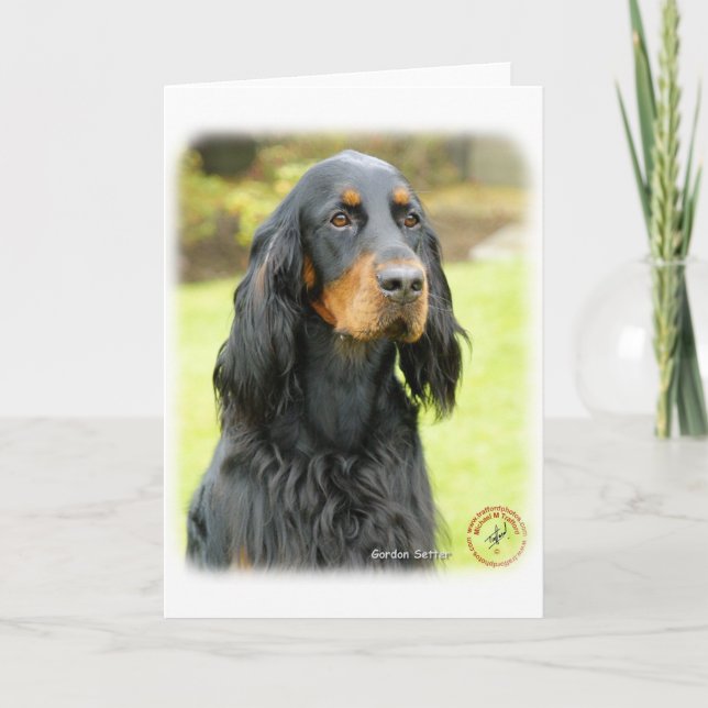 Gordon Setter 9T012D-141 Kort (Framsida)