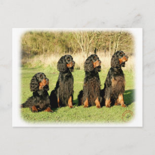 Gordon Setter 9Y105D-080 Vykort
