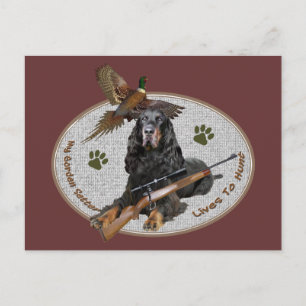 Gordon Setter bor hos Hunt Vykort