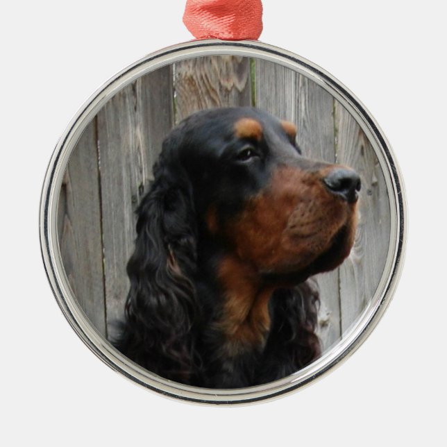 Gordon Setter Foto Ornament (Framsidan)