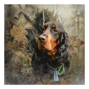 Gordon Setter Fototryck