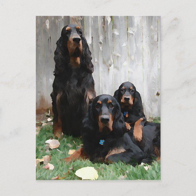 Gordon Setter Generation Painting Postcard Vykort (Framsida)