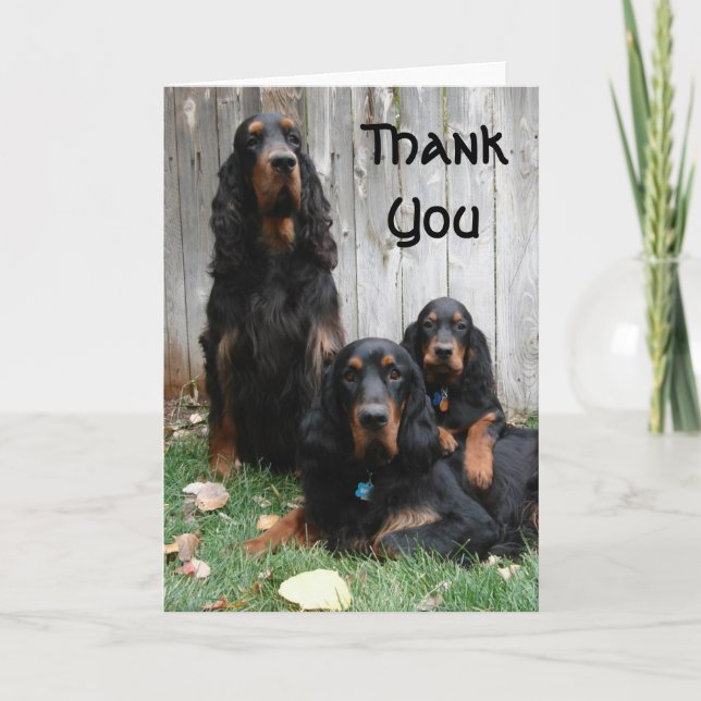 Gordon Setter Generation Tackkort Card (Framsida)