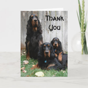 Gordon Setter Generation Tackkort Card