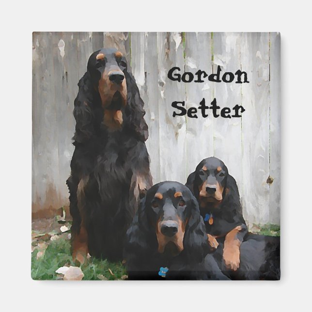 Gordon Setter Generationer Målning på en Magnet (Framsidan)
