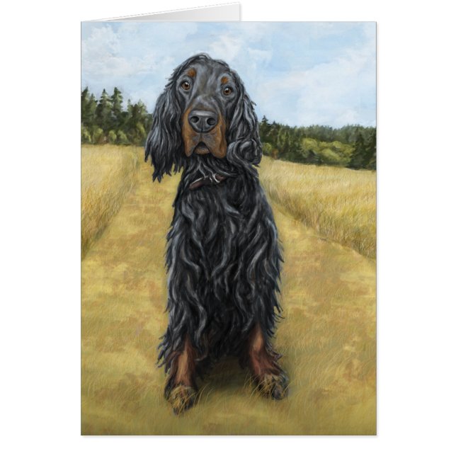 Gordon Setter Hälsningskort (Framsidan)