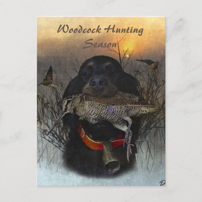 Gordon Setter Helg Vykort (Framsida)