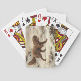 Gordon Setter Hund i ett vinterlandskap Casinokort