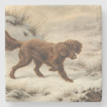 Gordon Setter Hund i ett vinterlandskap